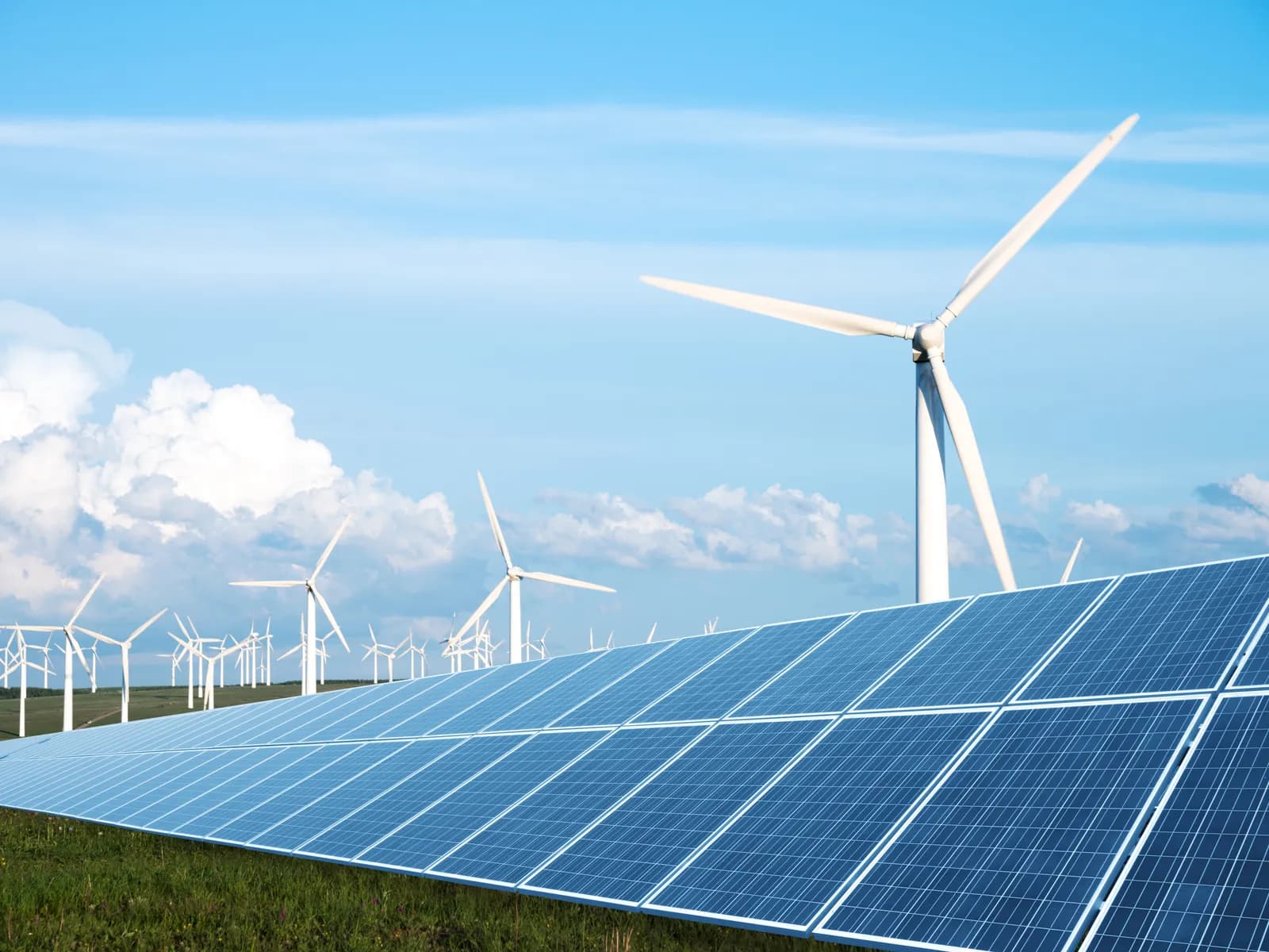 Solar panels in front of a wind farm